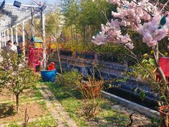 -小仙居·农家宴烤羊· 农庄