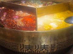 -湊湊火锅·茶憩(郑州绿地新都会店)