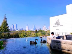 -行者书屋大堂吧 ·下午茶(南京圣和府邸酒店)