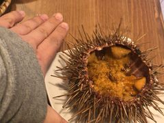 -海胆小馆(东北水饺·春柳店)