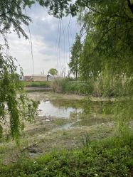 -水八仙生态园