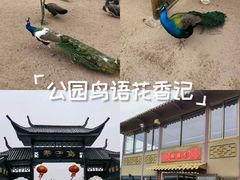 -万佛湖风景区