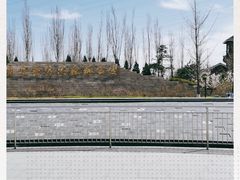 -永定河休闲森林公园