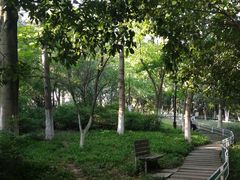 -范蠡湖公园