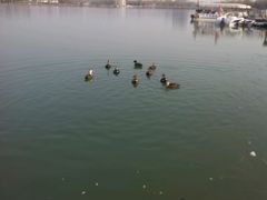 android_upload_pic-西安世博园