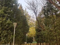 -泰丰公园
