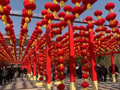 -狼山风景名胜区