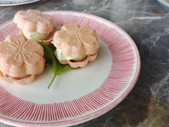 -Hi City·城市之巅