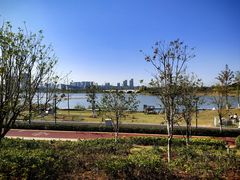 -九龙湖公园
