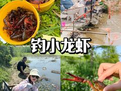 -上海山野camping·户外天幕烧烤·团建拓展营地