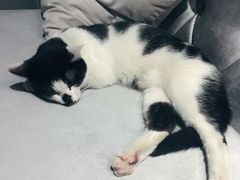 -虚荣精酿酒屋(五羊店)