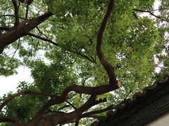 -青果巷历史文化街区