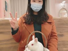 -猫猫幼稚园·撸猫·桌游·电玩