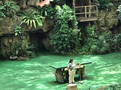 -新加坡飞禽公园