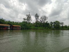 -泗洪洪泽湖湿地景区