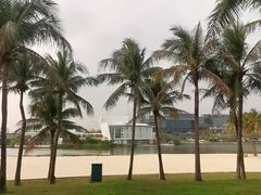 -欢乐海岸椰林沙滩-2025湾区超级灯会