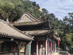 -老庞家水馅包子馆