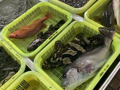 -大湾区中央湿地公园-十九涌