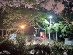 -梧桐山风景名胜区