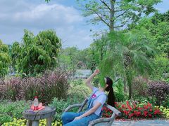 -东莞植物园