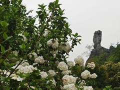 -南溪山景区