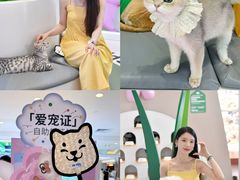 -PO PARK东方宝泰
