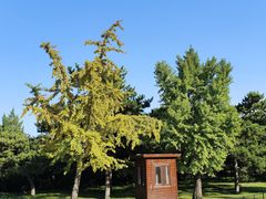 -北京植物园南门售票处