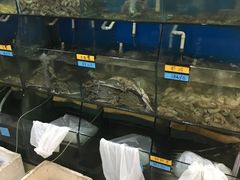 -胖大嫂渔家排档(半边山店)