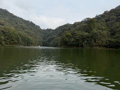 -广州市石门国家森林公园