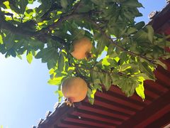 -西安华清御汤酒店