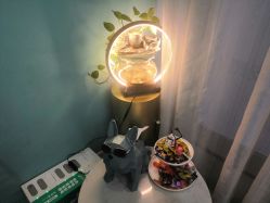 -佰草博士·专业祛痘祛斑培训