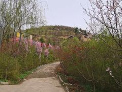 -渭南桃花源民俗文化园