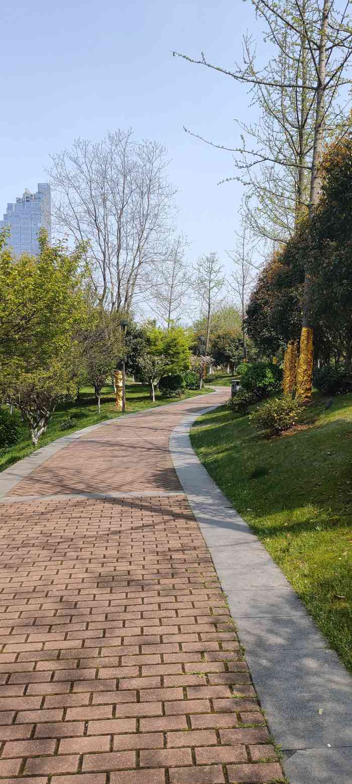 梅龙湖公园-"赶在跃马之前,梅龙湖提前预热,在莲花阁对.