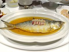 陈年花雕蒸鲥鱼-福1039(愚园路店)