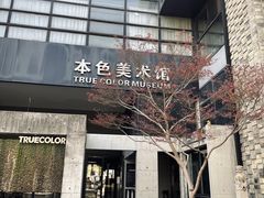 -苏州本色美术馆