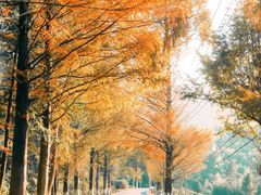 -泽雅景区