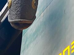 -JUJU韩式烤肉·干杯小酒馆