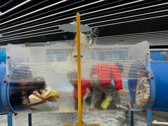 -苏州青少年科技馆