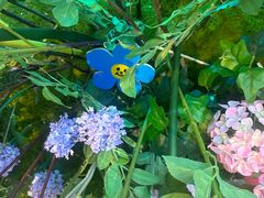 -Pandora潘多拉珠宝(虹口龙之梦店)