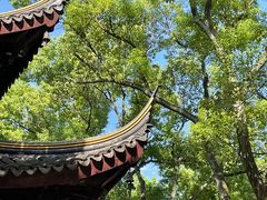 -西园戒幢律寺
