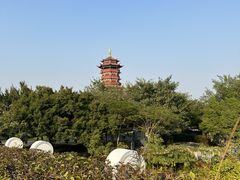 -厦门园林博览苑