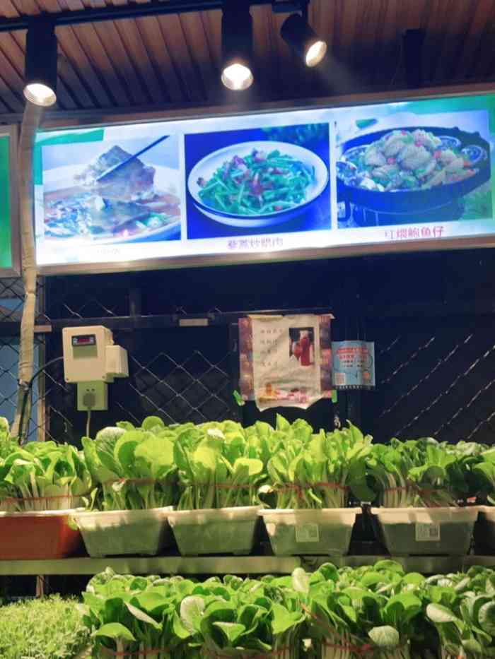 湖南人傢俬房菜(培新街店)-