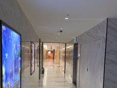 -乐天免税店(明洞店)