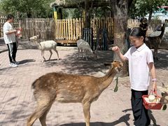 -水上乐园·欢乐世界