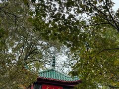 -岳麓山风景名胜区