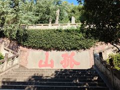 -西湖游船
