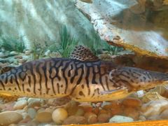 -东方巨龟苑景区