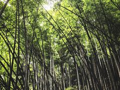 -杭州黄龙洞