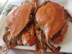 -宾朋海鲜饭庄(兴海路店)