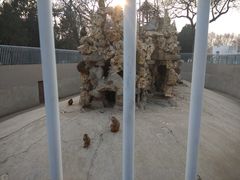 -保定市动物园